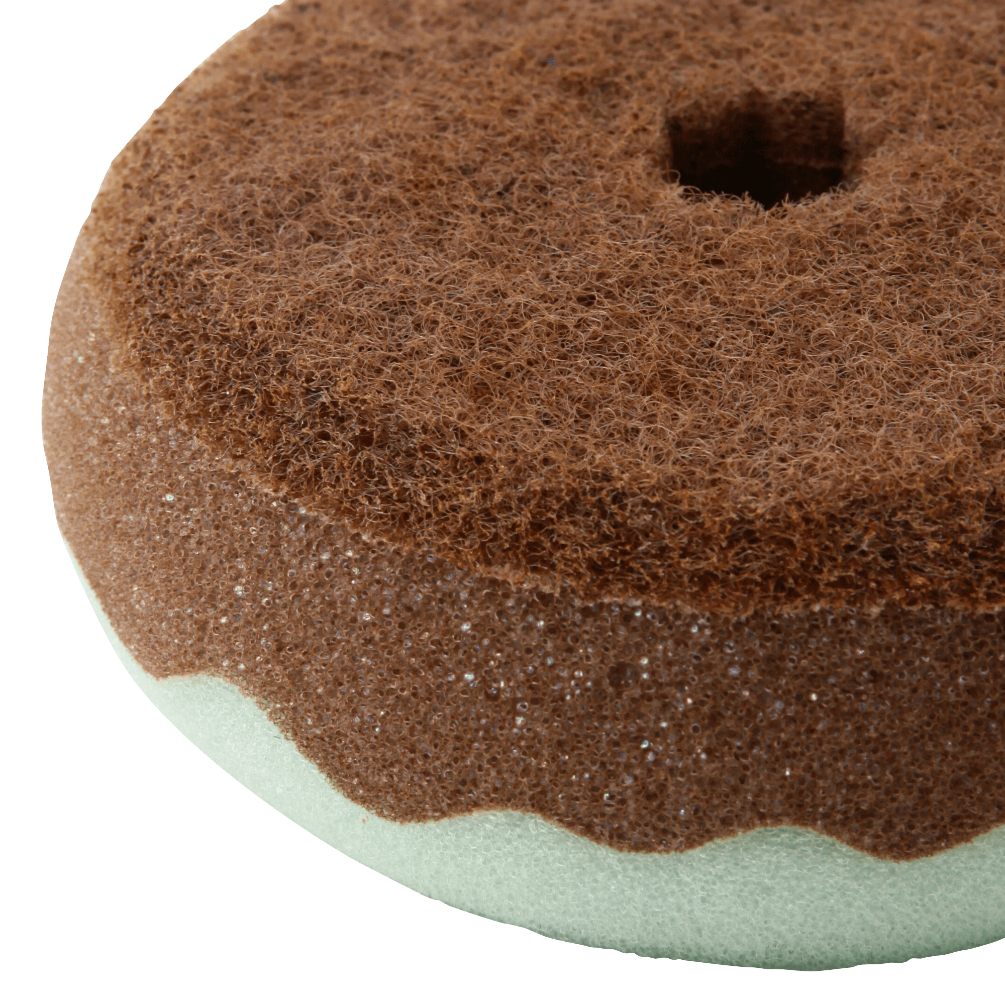 Donuts Sponge Green X Brown