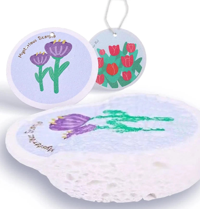 2pcs new Kitchen Cleaning Sponges for Dishes Clean Super Absorbent Multiple uses